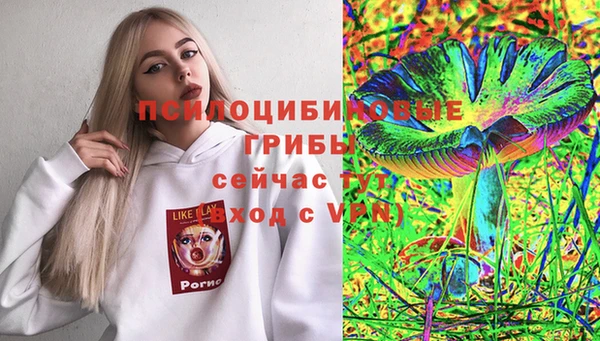 jwh Пересвет