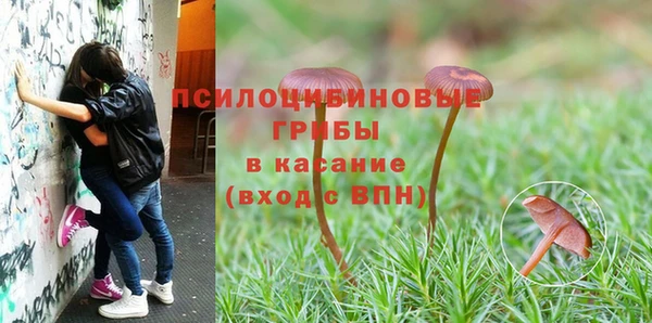 молекула духа Пестово