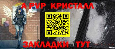 стафф Камышлов