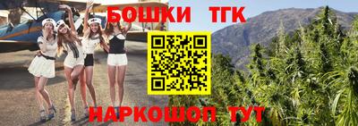 стафф Камышлов