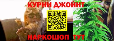 стафф Камышлов