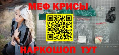 стафф Камышлов