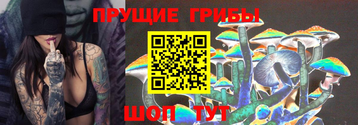 Псилоцибиновые грибы мицелий  Вход с VPN  Торжок 