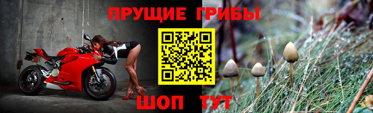 Псилоцибиновые грибы мицелий Торжок