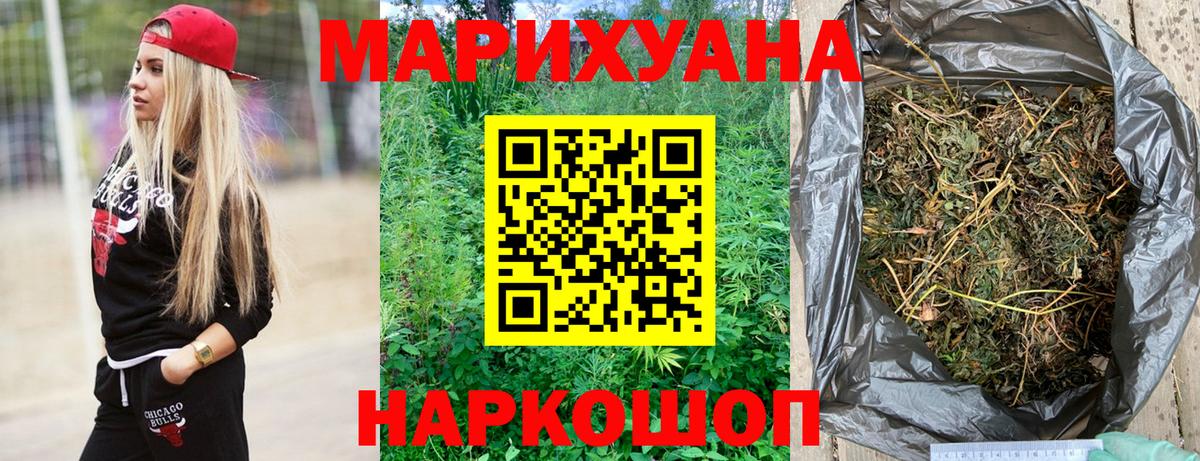 Конопля гибрид Торжок